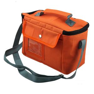 China Insulated Soft Cooler Picnic Lunch Box Tote Bottle Bag Freezer Tote promotional bag gift wholesale
