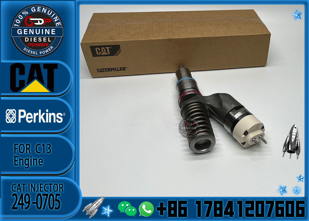 High Quality 249-0705 Common Rail Fuel Injector 2490705 249-0713 10R-7236 249 0705 For C13 Engine