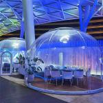 Customsize Geodesic Dome Tent Windproof Luxury Outdoor Bubble Tent