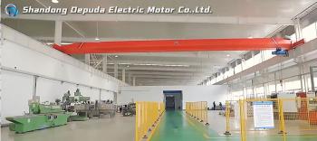 Shandong Depuda Electric Motor Co., Ltd.