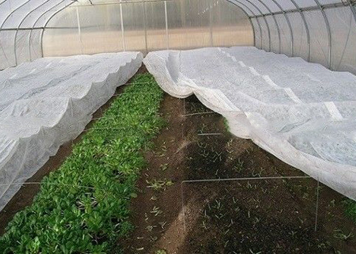 High Tensible , Durable PP Spunbond Nonwoven for Agricultural Textile