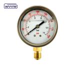 Hydraulic Industrial Pressure Gauge Manometer 60mm for glycerin