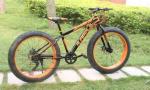 Height 198cm Sledge Wheel Steel 26 Inch Fat Tire Bike