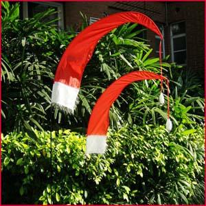 China Holiday Christmas Bali flag Santa Hat wholesale