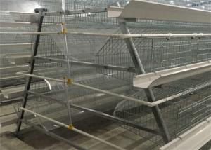 China 4 Tier 5 Doors Layer Chicken Cage 2300mm Width Poultry Layer Cage wholesale