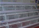 3 Tier 4 Doors A Frame Layer Cages / Q235 Chicken Battery Cage