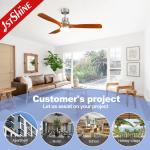 Restaurant 220 Volt Decorative Ceiling Fan With Led Light Remote