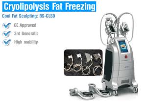 China Cryolipolysis slimming equipment cryolipolysis slimming machine cryotherapy fat freezing wholesale