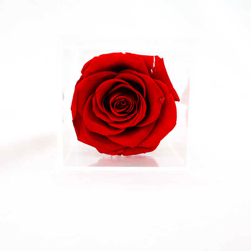 Wedding / Party Decoration Preserved Rose Flower With Long Stem