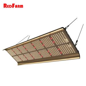 China High Lumen Hydroponics 330W G2 Quantum Board LED Grow Lights wholesale
