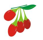 Hot Selling New Fresh Organic Dried Fruit Chinese Goji Berries