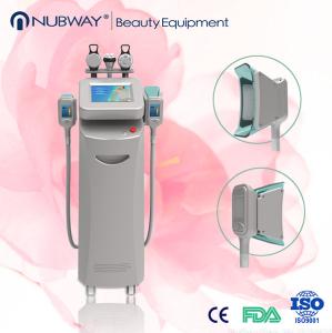China Cryolipolysis Price/Cryolipolysis Freeze Weight Loss Machine wholesale