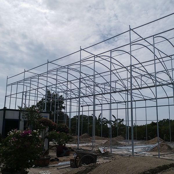 Single Layer Greenhouse Hydroponics System Wrought Iron Greenhouse With Film Surface