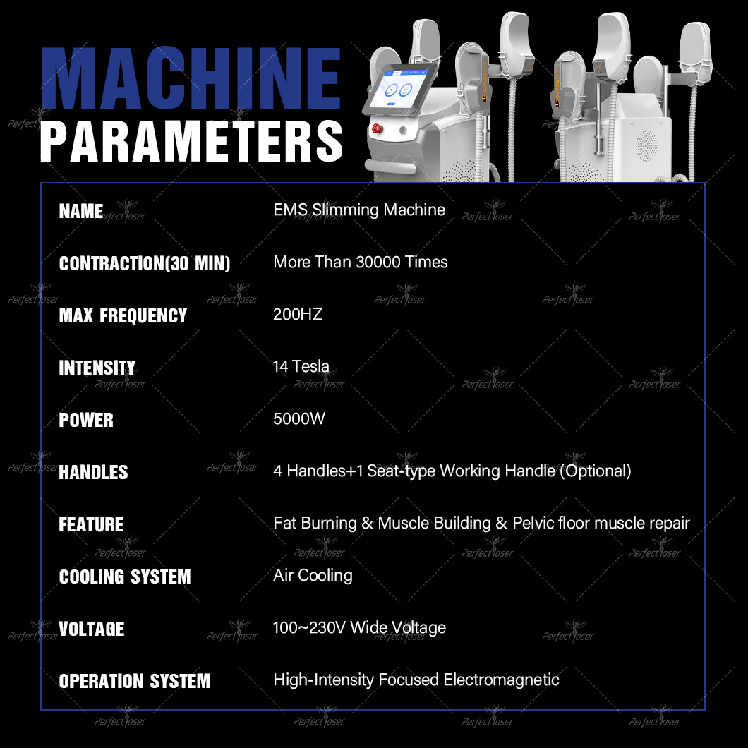 10 Handle White Or Black EMS Fitness Machine 14 Tesla Energy for Fast Innovasive Body Sculpting