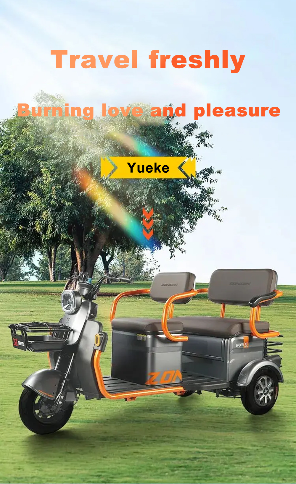 Passenger Three Wheel Electric Tricycle Scooter Driving Mileage of ≥90km and Affordable