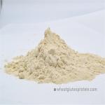 Prolong Bread Aging Time CAS 8002-80-0 Vital Wheat Gluten