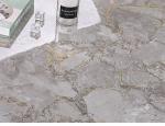 Gold Line Glazed Porcelain Tiles 800x800mm Full Body Marble