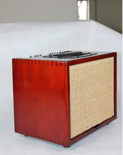 Custom Grand 60watt Acoustic Guitar Combo Amplifier with Effects in Black Color Ger Compact T60 Style