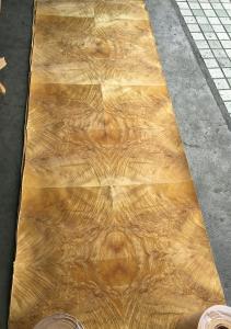 China Golden Phoebe Burl Paper Back Veneer | Paper Backing Golden Phoebe Burl Veneer Sheet wholesale