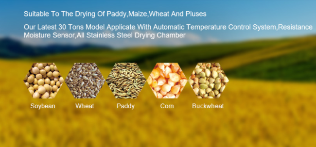 Custom Rice Dryer Machine Grain Tower Dryer Maize Corn Drying Machine