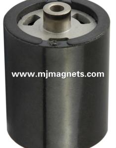 China plastic bonded magnet for automotive wholesale