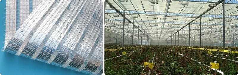 Agricultural Super Strong Resistance Vegetable Fruits Flowers Polycarbonate Sheet Greenhouses