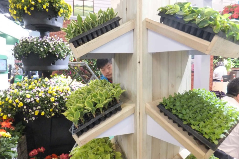 32cells PS 54cm Length Plastic Seed Trays Planting Flats With Dome