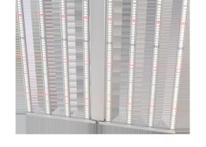China ETL 4000lm 600 Watt LED Grow Lights For Marijuana wholesale