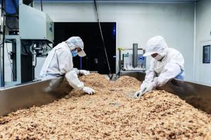 China Palm Oil Healthy Dried Onions For Hot Dogs wholesale