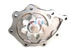 21010-19D10 Water Pump Assy NISSAN For Engine FD46T