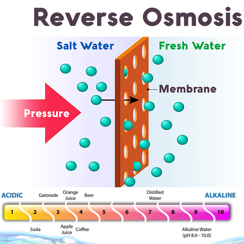 400gpd Reverse Osmosis Membrane Thin Film Elements for Pure Water Plant NO App-Controlled