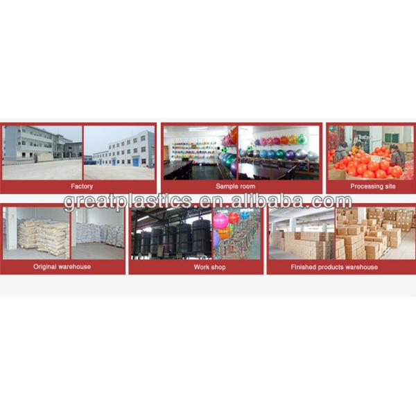 Cute Red Bouncy Horse Ecofriendly PVC Material For 3 Ages Kids Jumping