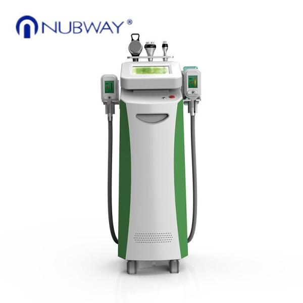 2014 Newly-launched!!! Cavitation Vacuum RF Cryo price Cryolipolysis
