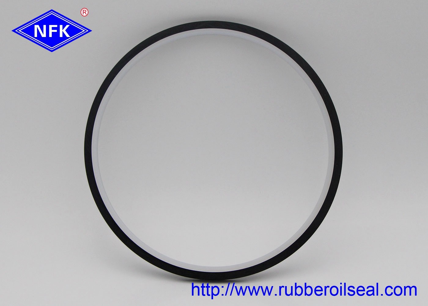 SPI Fixed Combined Piston Seal BRN TPFE For Hydraulic Cylinder