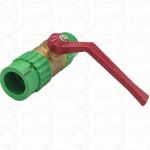 DualGuard Ball Valve Double Union Ball Valve HOMOGENOUS JOINT