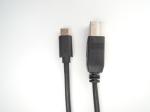 20V USB3.1 Fast Charge Cable