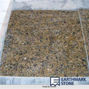 China Tropical Brown Granite Tile wholesale