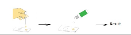 For Laboratory Or Hospital Self-Test High Accuracy The Typhoid IgG/IgM Rapid Test