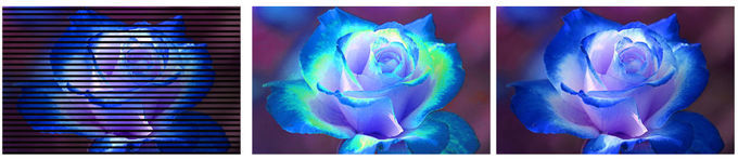 Full Color P4.81 Indoor LED Display for Rental, Stage, Events
