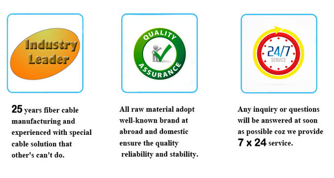 Underwater Fiber Optic Cable GYTS33 Singlemode G652D with Double Amored Rodent resistant