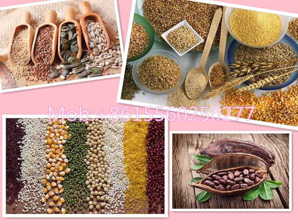 Large-scale convenience cocoa beans red beans sieving machine