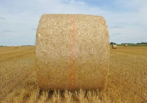 China Hay Bale Net Wrap wholesale