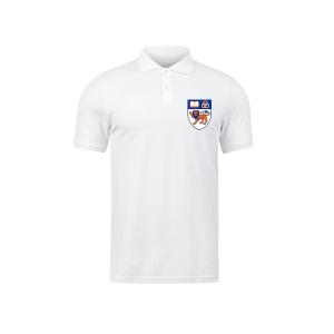 China Quick Dry University Polo Promotion Polo with Custom Logo Printing wholesale
