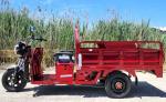 Electric Powered Cargo Truck 1000 Watt Motorized Moped 3 Wheel Bicycle Scooter