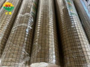 China 6ft Zinc Coated Welded Wire Mesh Rolls For Farming Or Breeding Fencing wholesale