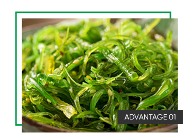 Frozen Seasoned Seaweed Salad Customized Packaging for 100% Natural and Healthy Sushi