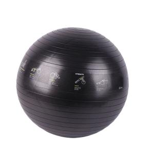 China 65 Cm Stability PVC Yoga Ball Waterproof Anti Slipping Ecofriendly wholesale