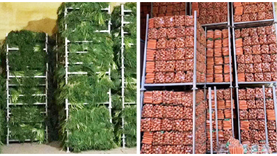 Square Tube Pallet Stacking Rack