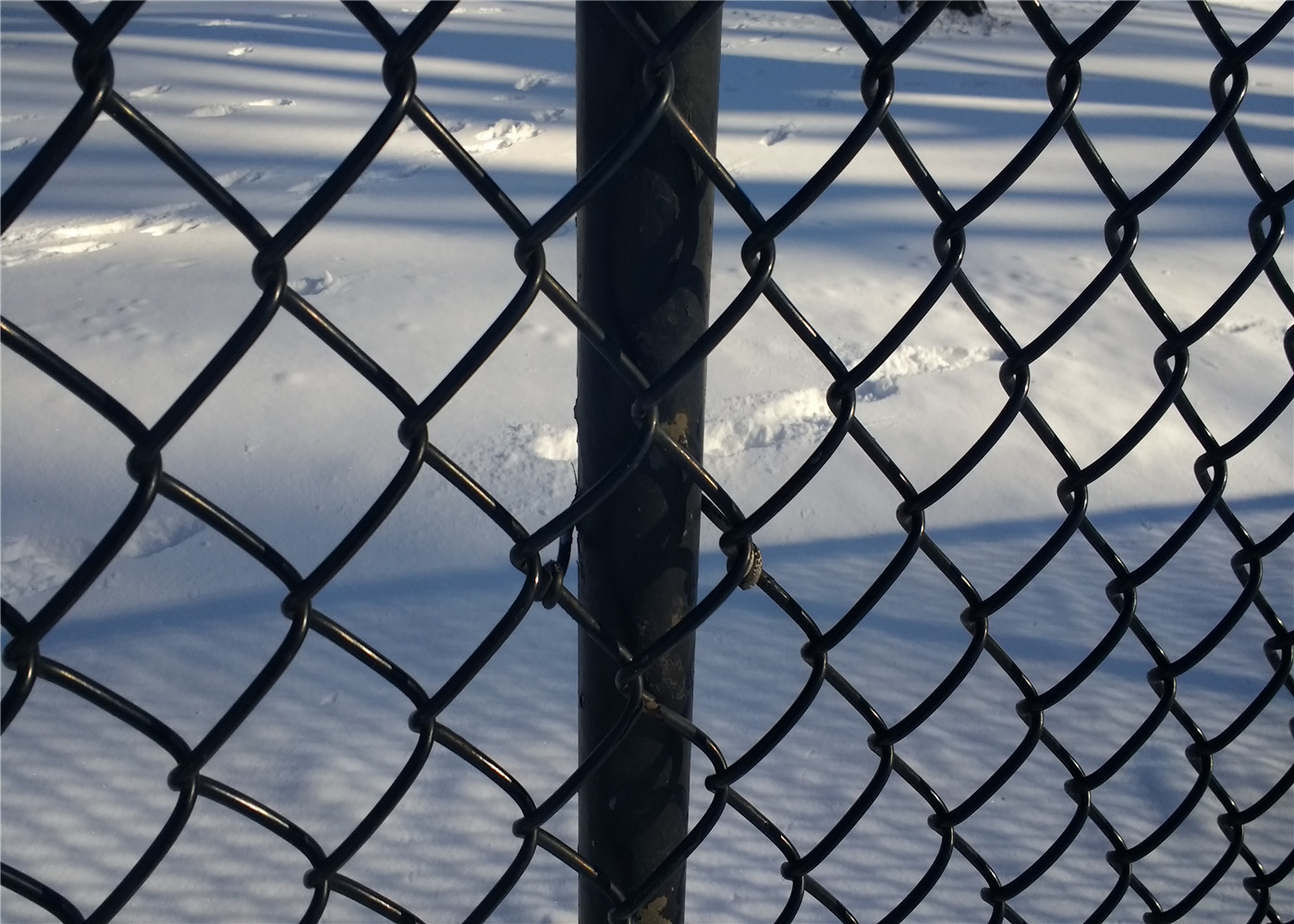 3600mm height chain wire fence 2.76mm diameter hot dipped galvanized 275gram/SQM
