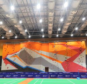 China Entertainment Equipment Gym Climbing Walls 100 Passenger 8-63 Old Age wholesale